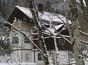 Отель Georges Rast, Альтаусзее